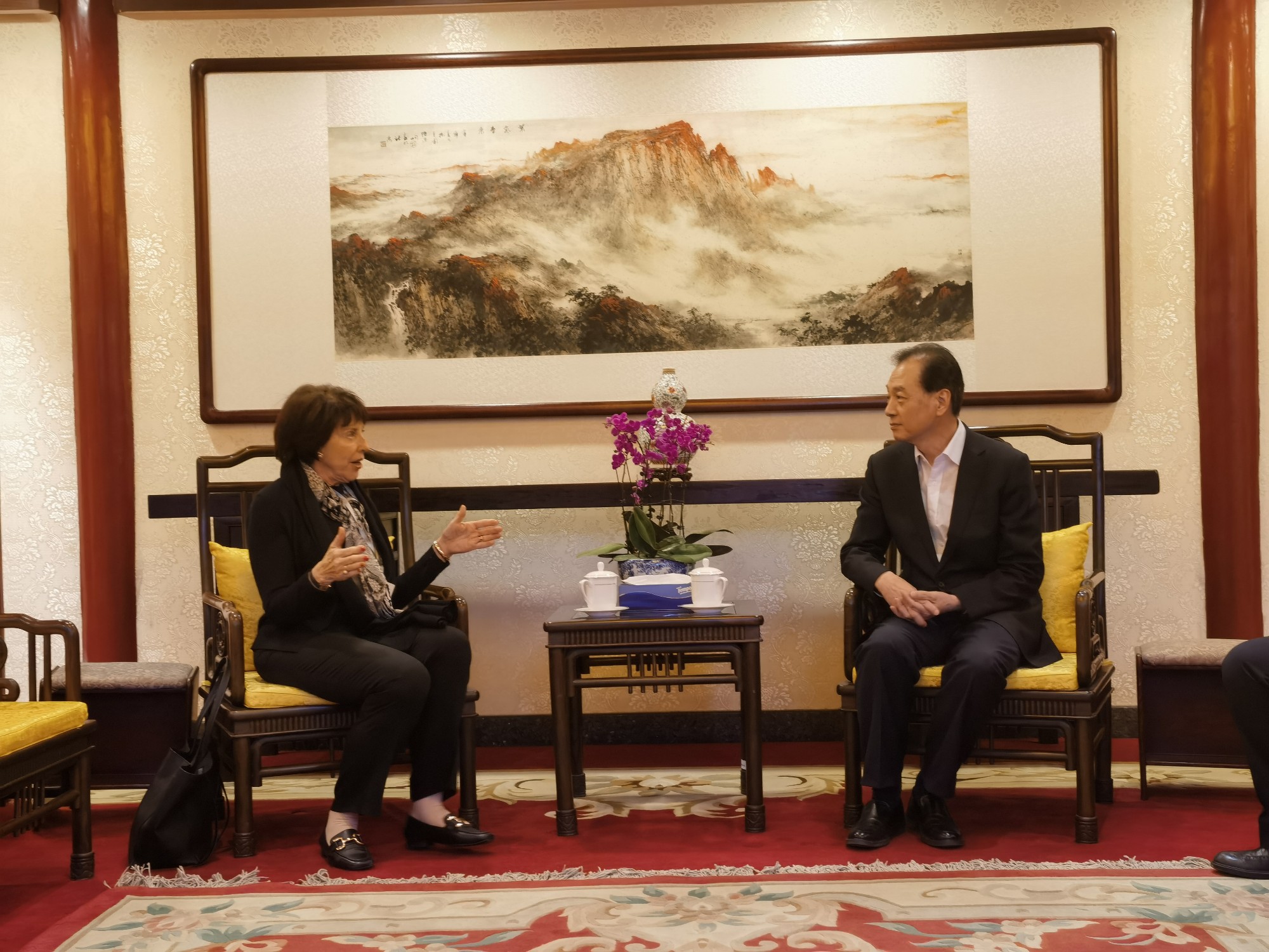 王超会长会见美国前助理国务卿帮办谢淑丽